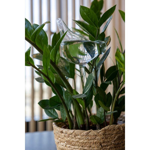 Bilă de irigare din sticlă 197 ml – Esschert Design-image-1