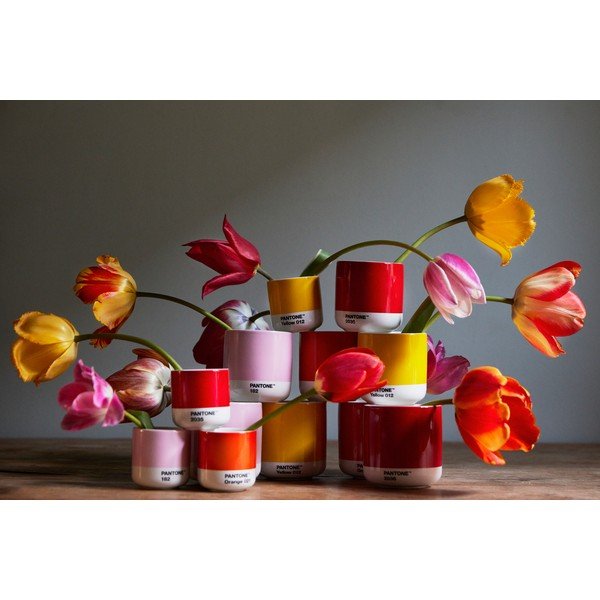 Ceașcă roz-deschis pentru cappuccino din porțelan 175 ml Light Pink 182 – Pantone-image-1