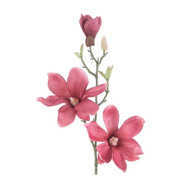 Plante artificiale 10 buc. (înălțime 69 cm) Magnolia – Restilo-image-3