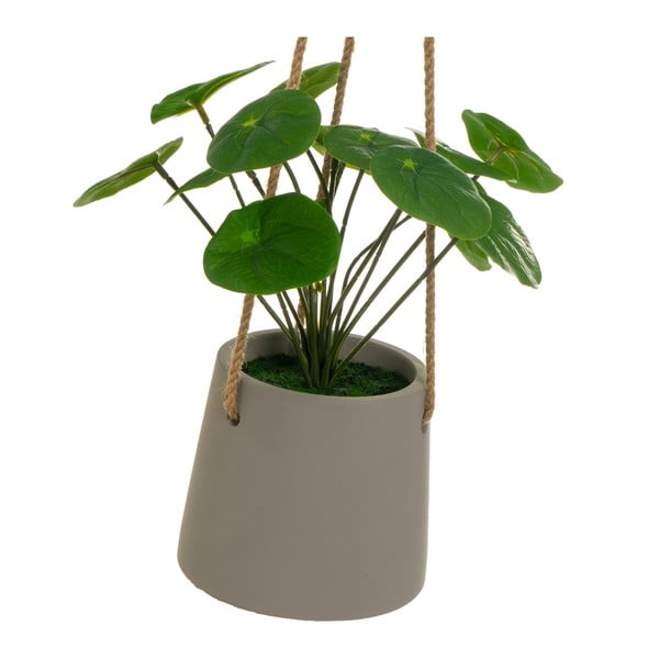 Plantă artificială (înălțime 24 cm) Pilea – Casa Selección-image-2
