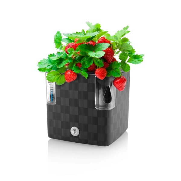 Ghiveci din plastic pentru ierburi aromatice/cu sistem de auto-irigare Cobble – Flower Lover-image-2