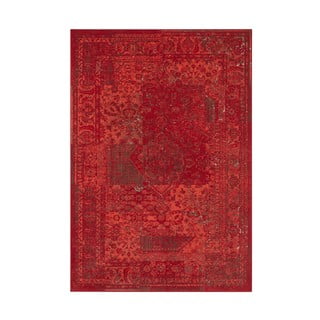 Covor Hanse Home Celebration Plume, 160x230 cm, roșu