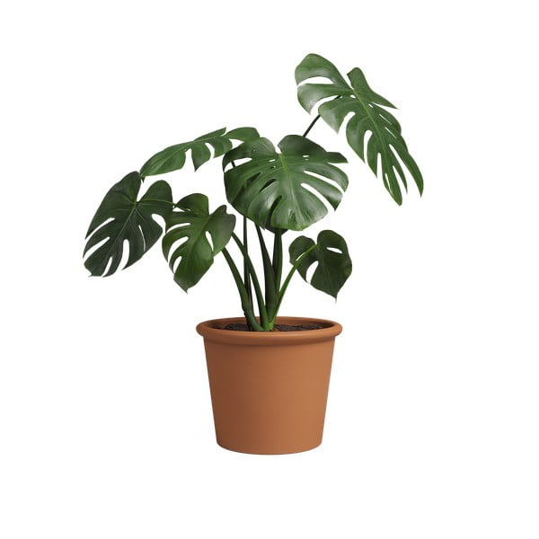 Ghiveci din teracotă ø 39 cm Saramago Cilindro – Artevasi-image-3