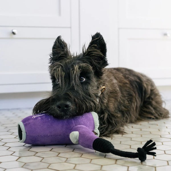 Jucărie pentru câine Hairdryer – P.L.A.Y.-image-1