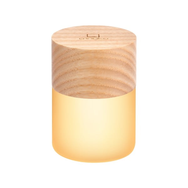 Decorațiune luminoasă în culoare naturală cu USB ø 4,5 cm Lemelia – Gingko