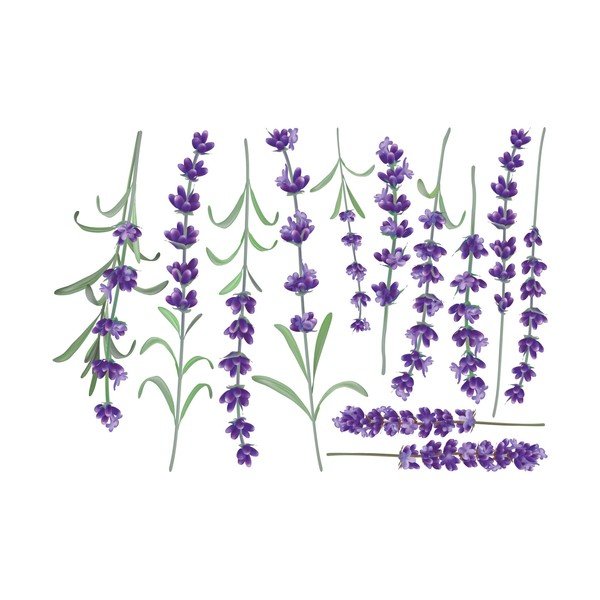 Set autocolante pentru perete Ambiance Levanders-image-2