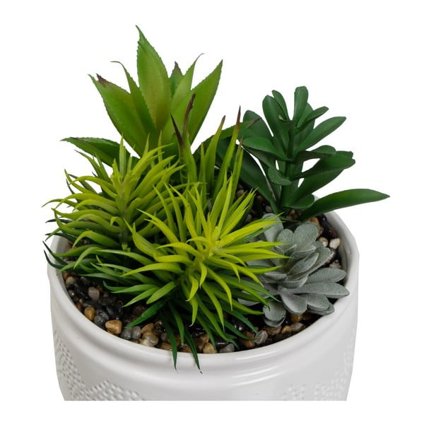 Plante artificiale 2 buc. (înălțime 19 cm) Cactus – Casa Selección-image-2