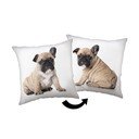 Pernă pentru copii 40x40 cm Bulldog – Jerry Fabrics