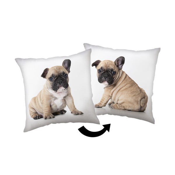 Pernă pentru copii 40x40 cm Bulldog – Jerry Fabrics