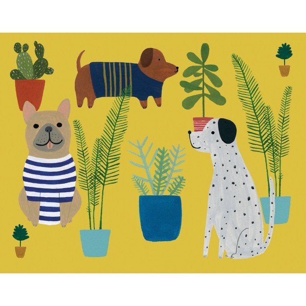 Felicitări 8 buc. Chouchou Chien – Roger la Borde-image-1