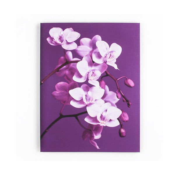 Tablou Graham & Brown Purpel Orchid, 60 x 80 cm