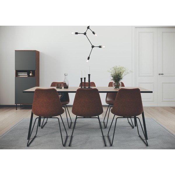 Dulap Tenzo Daxx, 56 x 161 cm, gri antracit-image-1