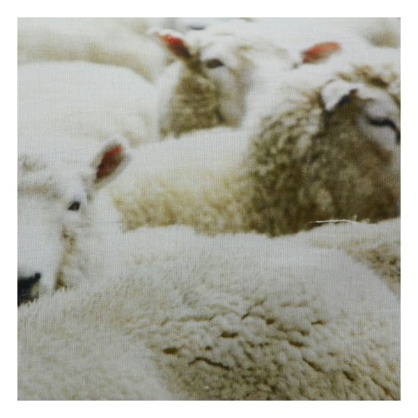 Pernă Sheep 60x40 cm-image-1