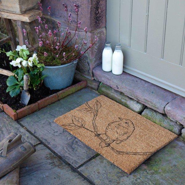 Covoraș de intrare din fibre de nucă de cocos 40x60 cm Pencil Robin – Artsy Doormats-image-3