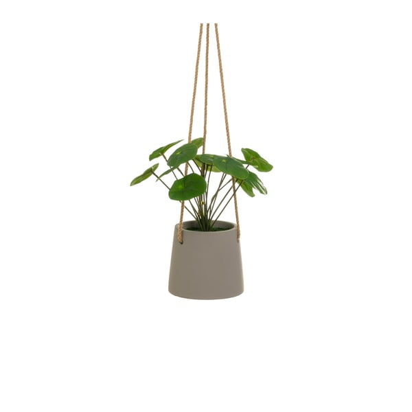 Plantă artificială (înălțime 24 cm) Pilea – Casa Selección-image-1