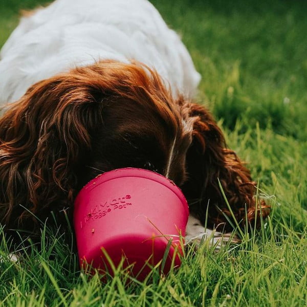 Bol pentru lins Yoggie Pot Pink – LickiMat-image-1