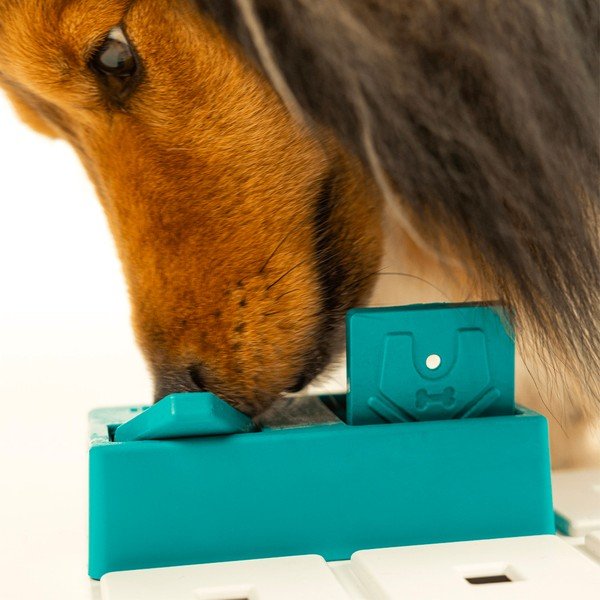 Puzzle pentru câini Nai – Pawzler-image-2