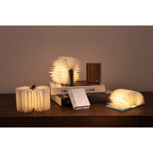 Decorațiune luminoasă în culoare naturală portabilă cu USB BookLight – Gingko-image-1