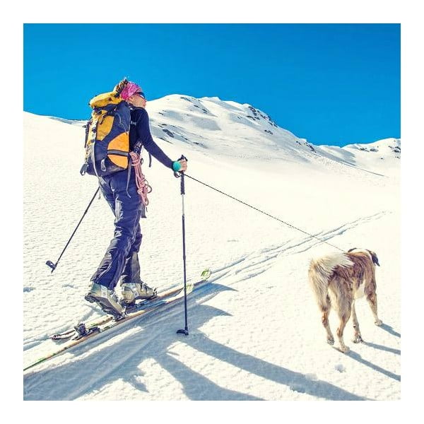 Lesă albastră M 3 Bungee – Lishinu-image-3