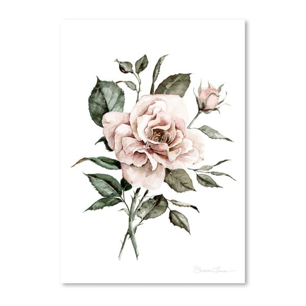Poster Americanflat Faded Pink Rose by Shealeen Louise, 30 x 42 cm