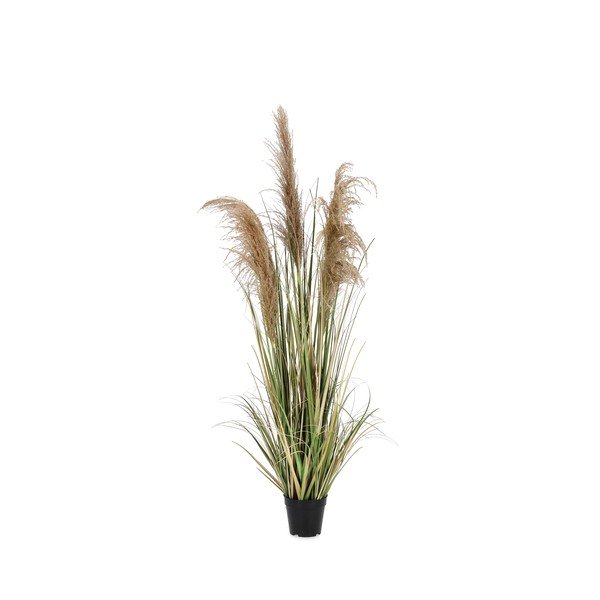 Plantă artificială (înălțime 145 cm) Austorderia – Bizzotto