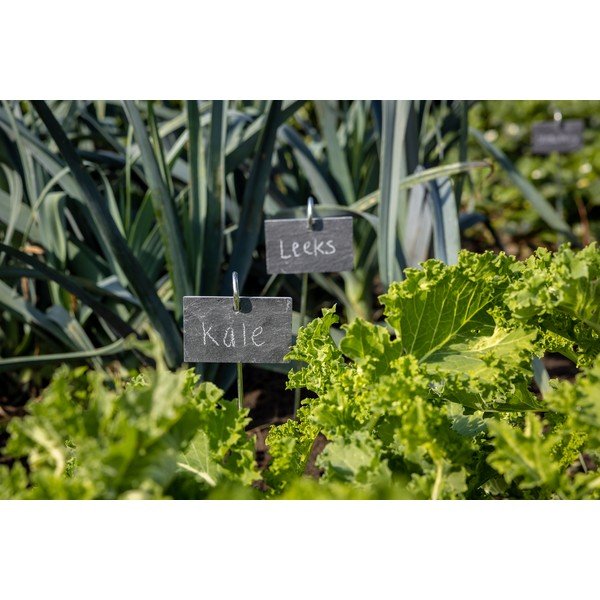 Etichetă din ardezie pentru plante Esschert Design-image-1