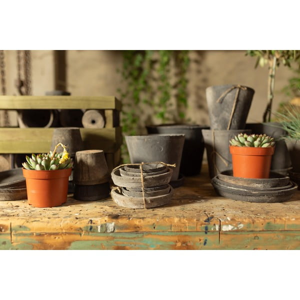 Farfurii de ghiveci 3 buc. din teracotă ø 10 cm – Esschert Design-image-4