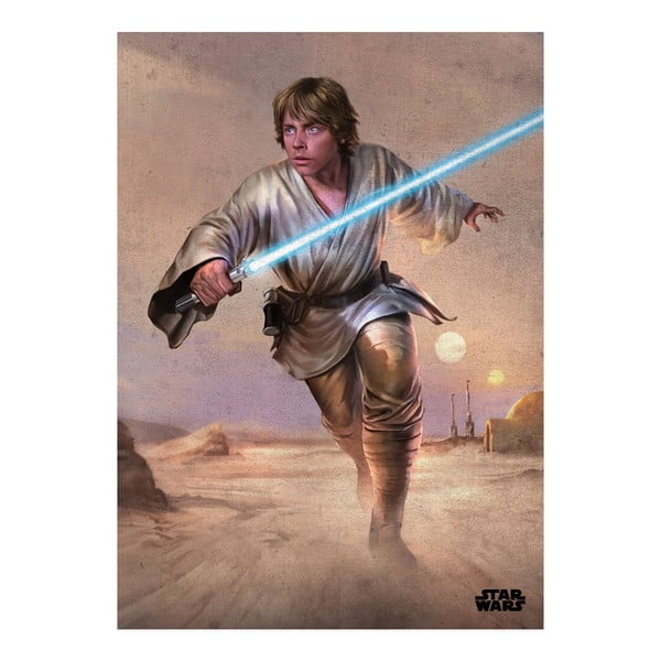 Poster Episode IV - Luke