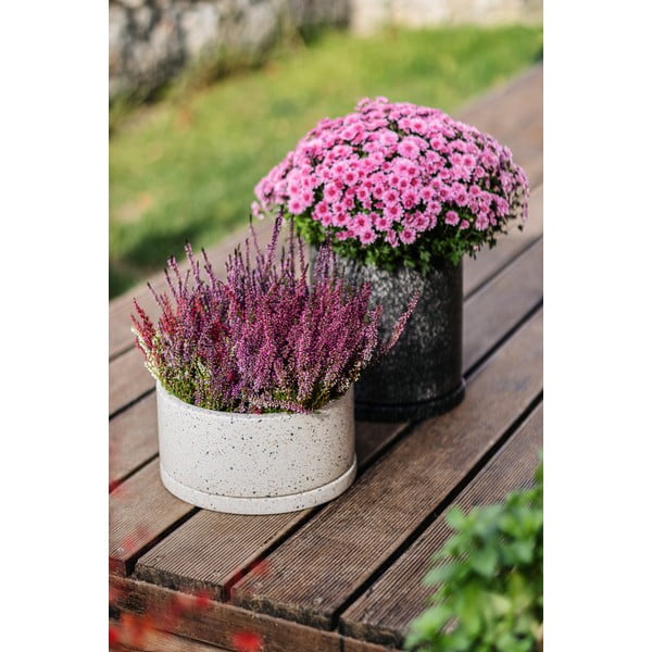 Ghiveci gri închis ø 34 cm Terrazzo - Bonami Selection-image-1