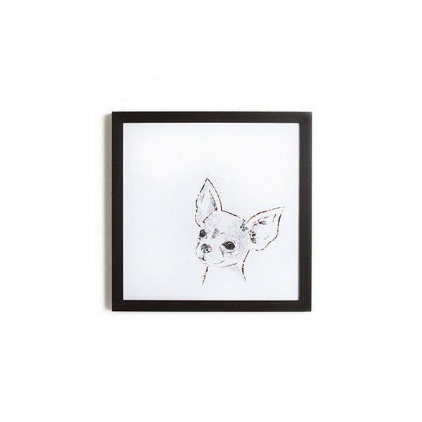 Tablou înrămat  Graham & Brown Chihuahua, 40 x 40 cm