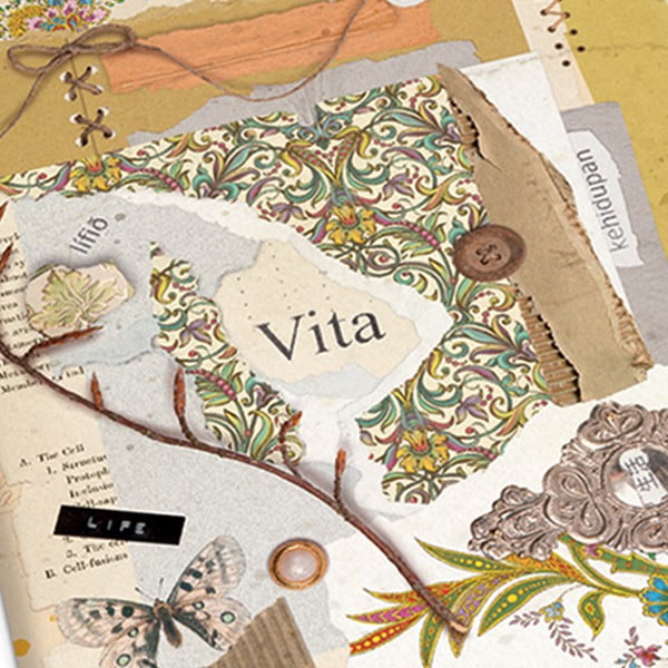 Caiete 192 pagini A6 2 buc. Vita – Kartos-image-3