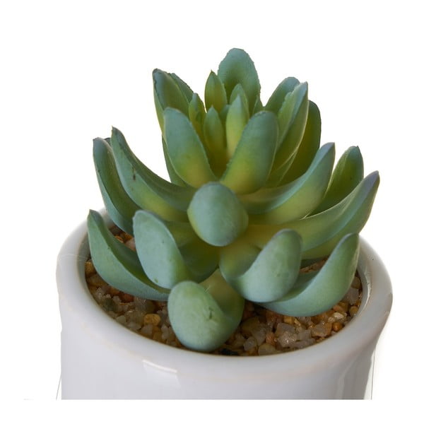 Plante artificiale 4 buc. Cactus – Casa Selección-image-2