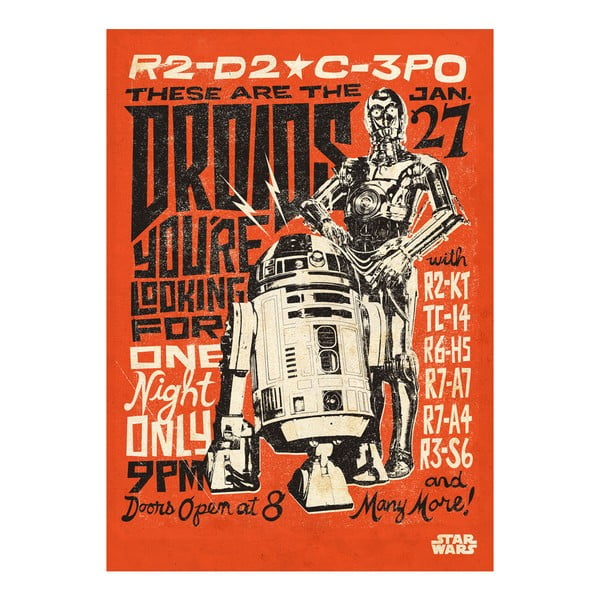 Poster Star Wars Legends - Droids