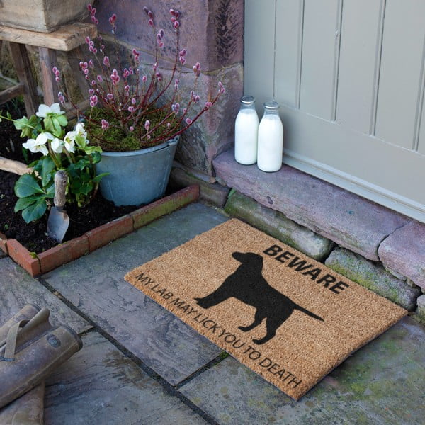 Covoraș de intrare din fibre de nucă de cocos 40x60 cm Labrador – Artsy Doormats-image-2