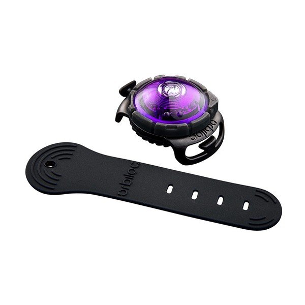 Lanternă LED pentru zgardă Purple – Orbiloc-image-1