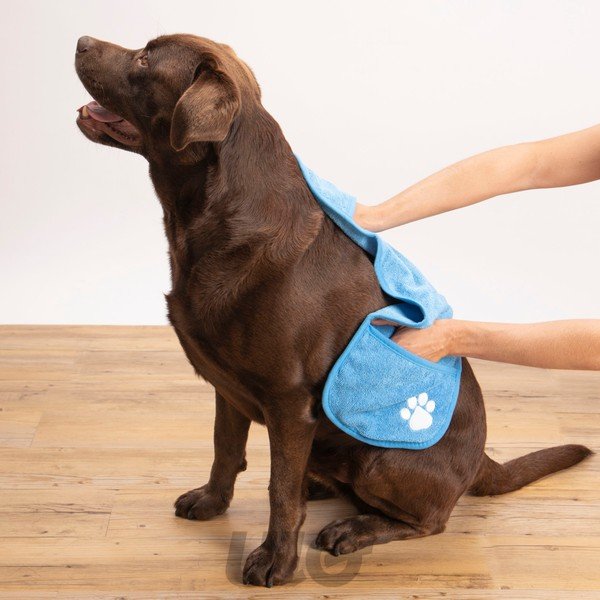 Prosop pentru animale – Love Story-image-1