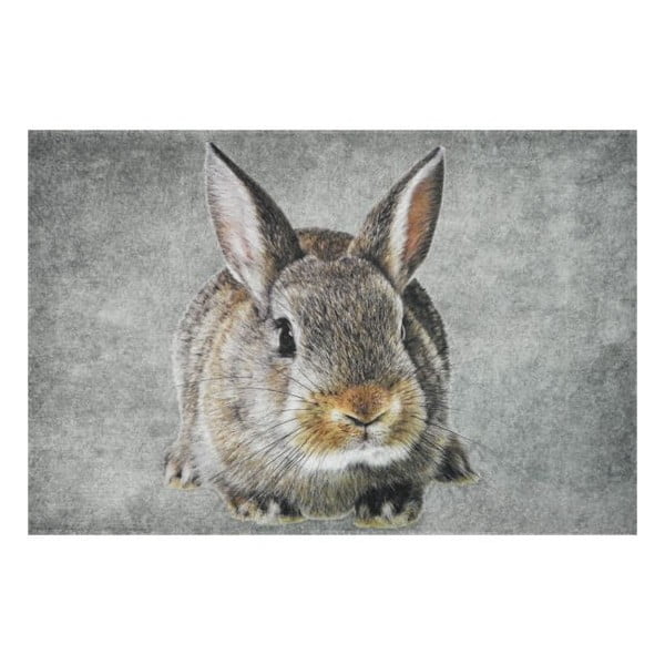 Carpetă Brown Rabbit 75x50 cm