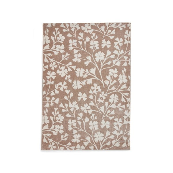 Covor maro deschis 120x170 cm Grace Floral – Catherine Lansfield