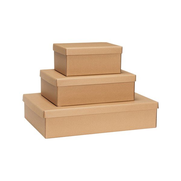 Cutii de depozitare în culoare naturală 3 buc. din carton cu capac 44x31x10 cm Storeit – Hübsch