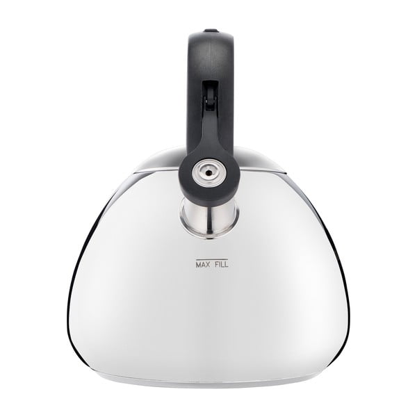 Ceainic din inox  pentru inducție 2,7 l - Tefal-image-2