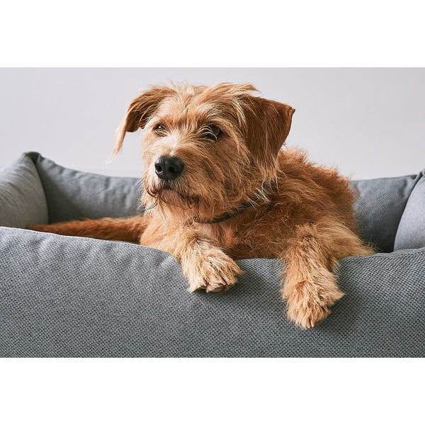 Pat  maro pentru câini 93x120 cm Mare Kelp L – MiaCara-image-2