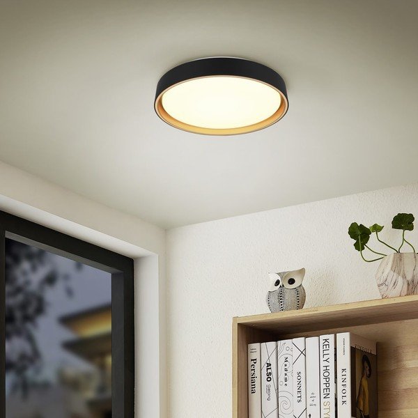 Plafonieră neagră LED ø 40 cm Felis – Reality-image-1