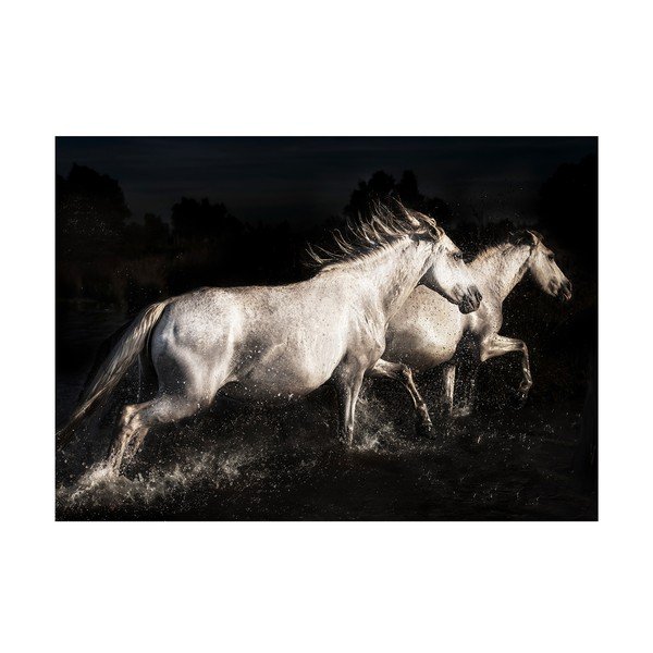 Tablou din sticlă 120x80 cm Ele - Styler