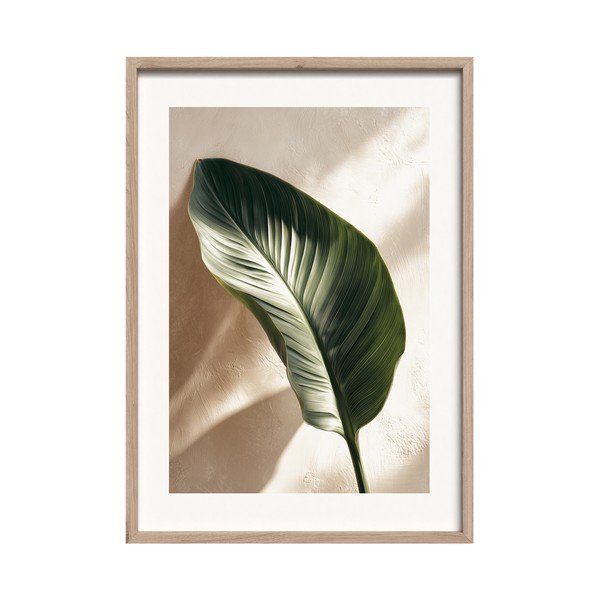 Tablou cu ramă imprimat 50x70 cm Strelizia Leaf – Styler