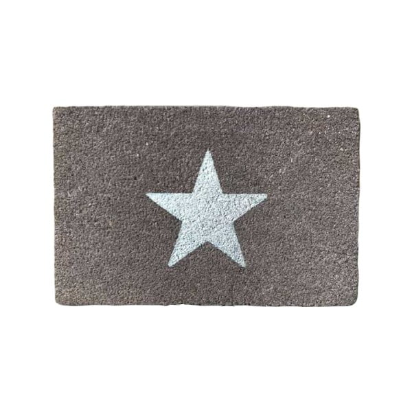 Covoraș intrare din fibre de cocos Artsy Doormats Glitter Star, 40 x 60 cm