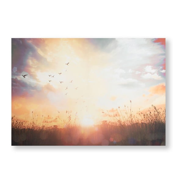 Tablou Graham & Brown Serene Sunset Meadow, 100 x 70 cm