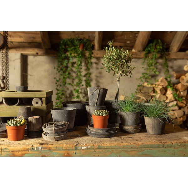 Ghivece 3 buc. din teracotă ø 10 cm – Esschert Design-image-2