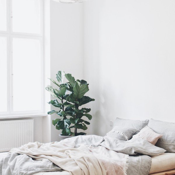 Pat dublu din lemn de pin cu saltea Karup Design Senza Comfort Mat Natural/Natural, 140 x 200 cm-image-1