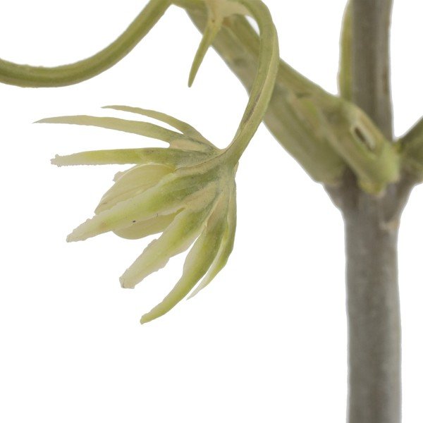 Creangă artificială (înălțime 55 cm) – Ixia-image-2