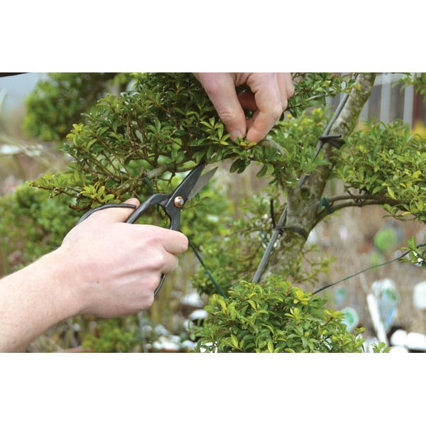 Foarfecă din oțel pentru bonsai Esschert Design Garden-image-3